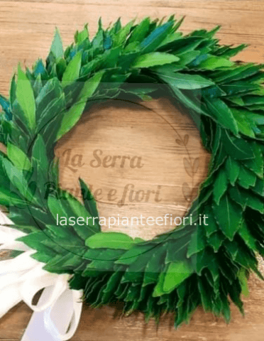 Coroncina di alloro per laurea