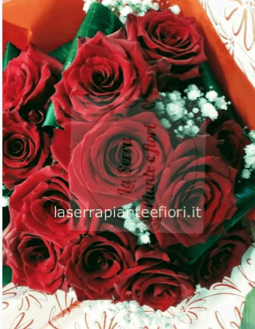12 meravigliose rose extra quality a gambo lungo con verdi ornamentali e raffinata confezione.