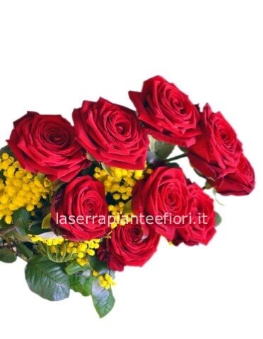 3 Rose rosse a stelo lungo con mimosa