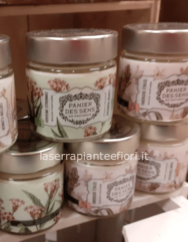 Candela al profumo di tuberosa