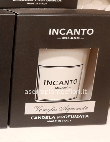 Candela profumata su vetro