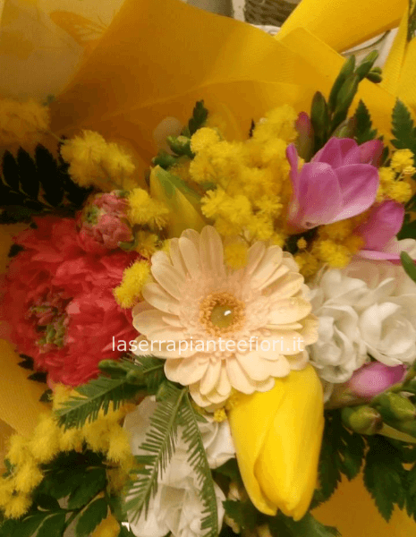 Bouquet primaverile con mimosa