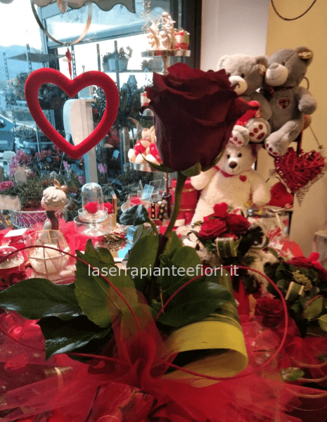 Rosa Singola Valentine